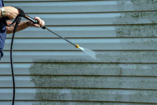 Best Roof Pressure Washing  in Watseka, IL
