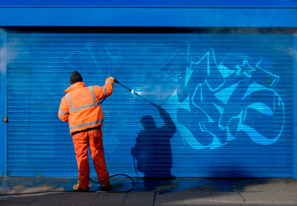 Best Garage Pressure Washing  in Watseka, IL