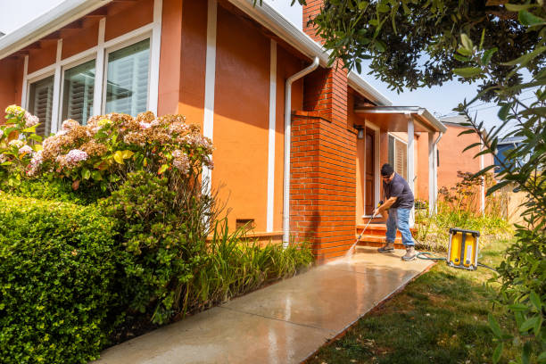 Best Exterior Home Cleaning  in Watseka, IL