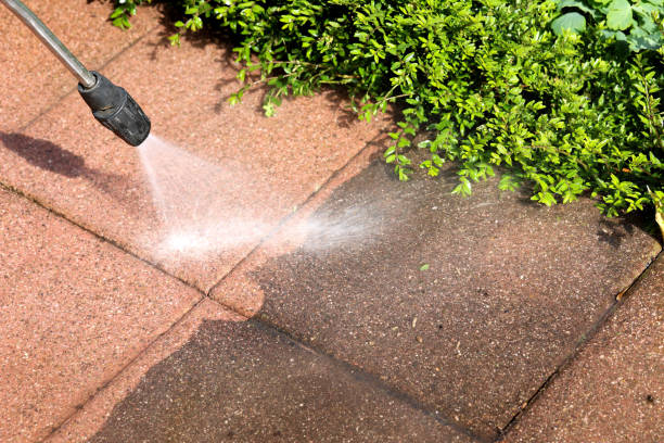Best Residential Pressure Washing Services  in Watseka, IL