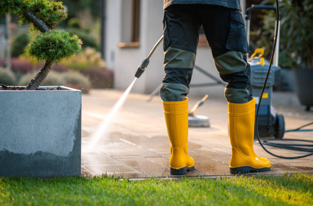 Best Exterior Home Cleaning  in Watseka, IL